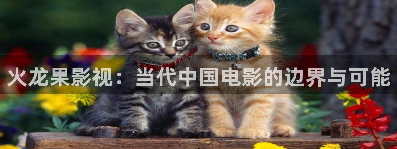 浮力影院最新发布地址：火龙果影视：当代中国电影的边界与可能