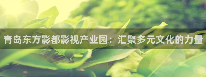 浮力影院wy37：青岛东方影都影视产业园：汇聚多元文化的力量