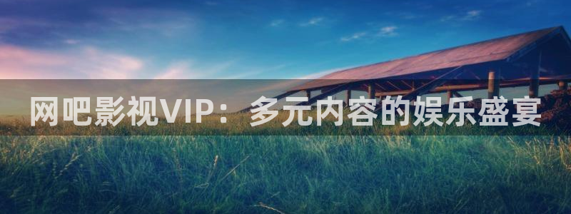 浮力影院第一页国产：网吧影视VIP：多元内容的娱乐盛宴