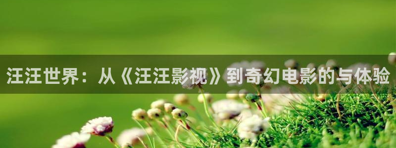 浮力视频最新发布公告：汪汪世界：从《汪汪影视》到奇幻电影的与体验