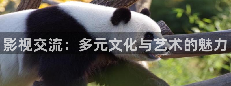 浮力影院最新入口：影视交流：多元文化与艺术的魅力