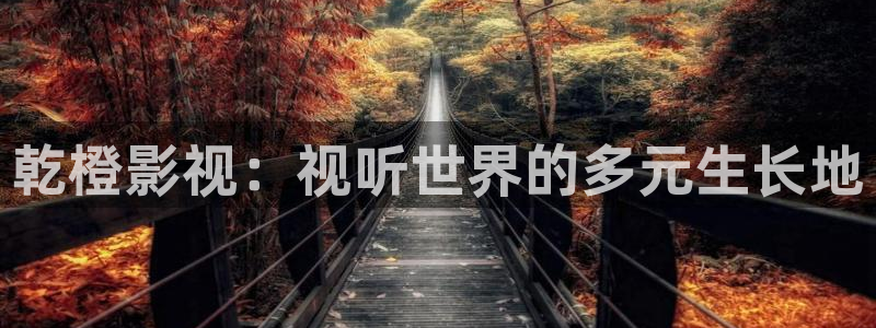 国产笫一页浮力影院：乾橙影视：视听世界的多元生长地
