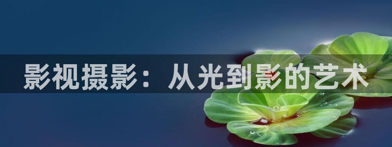 浮力视频影院：影视摄影：从光到影的艺术